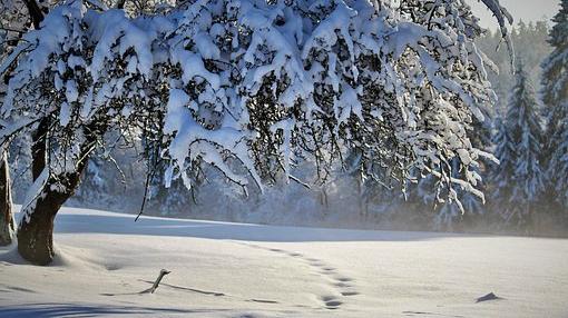张弛|职场人，要抬得起头，弯得下腰，吞得下委屈，才能修成铁人