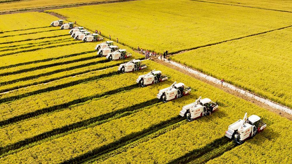 Java|“互联网+”对现代农业发展的影响