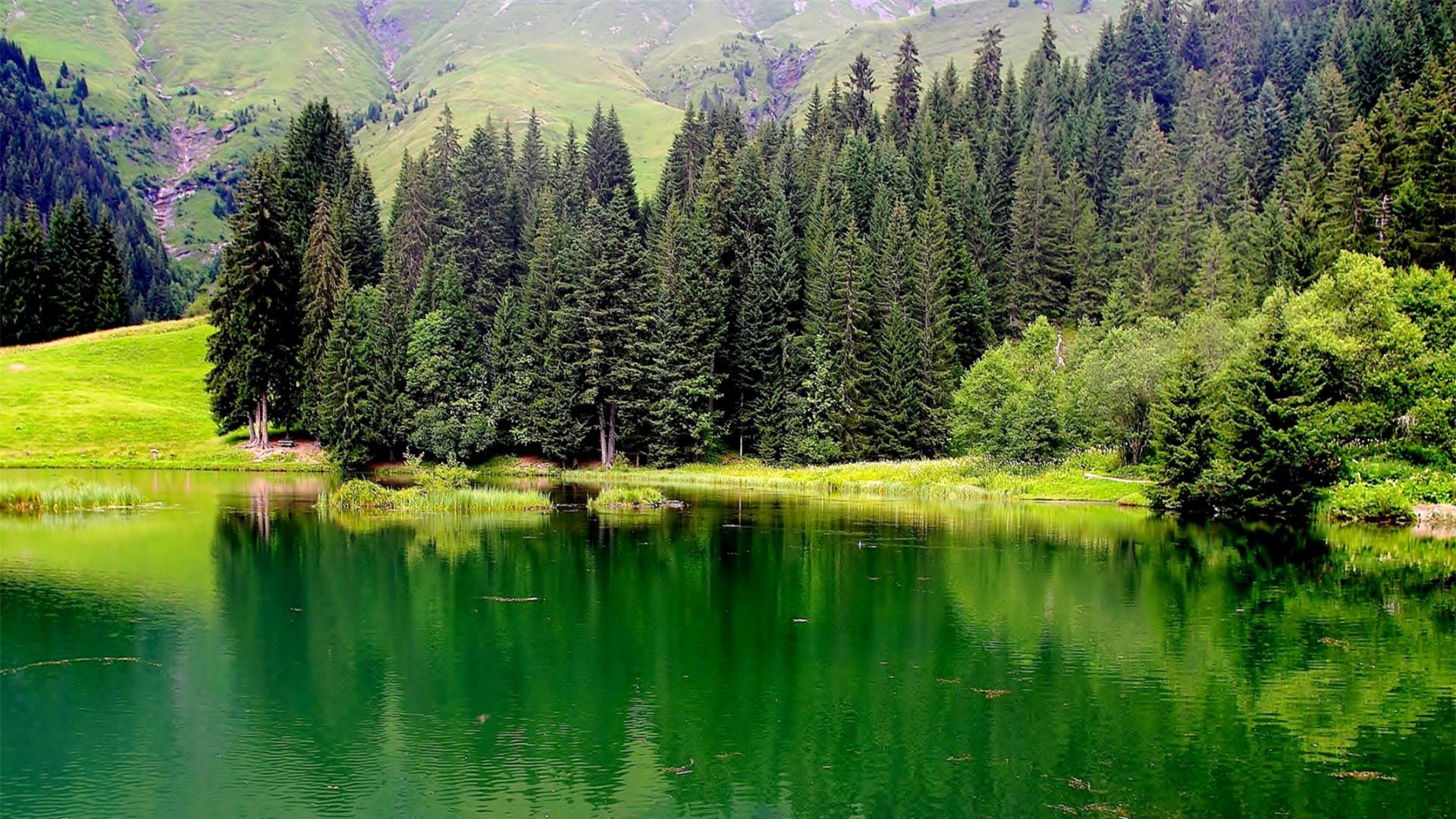 |为什么我总喜欢把事情拖到最后一刻?