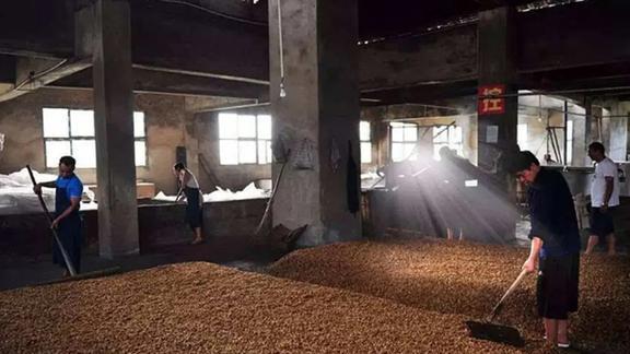 长寿与衰老|男人若不想变成“糟老头”，夏天这2种酒要少喝，难喝还容易显老