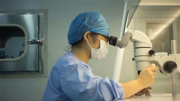 饮食|三代试管10个囊胚能筛出几个？关键要看男女双方体质