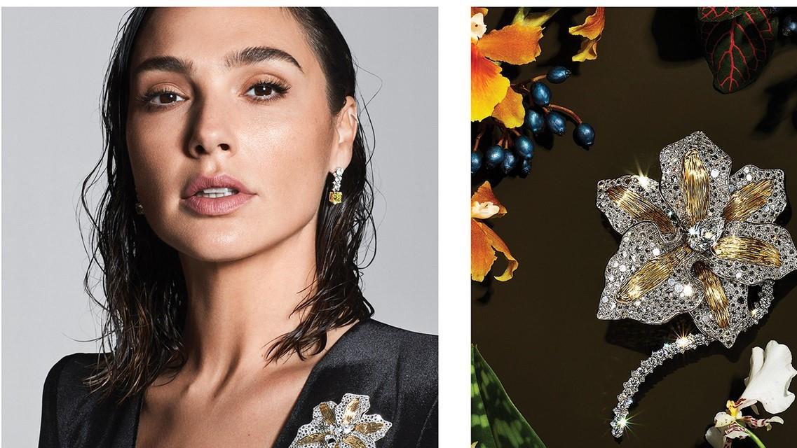 神奇女侠|神奇女侠成为高级珠宝代言人