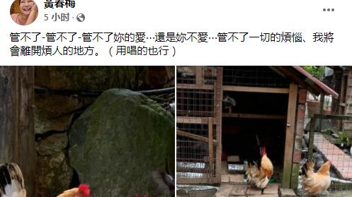 大S|台媒曝具俊晔大S今结婚登记，S妈发文表不满：会离开烦人的地方