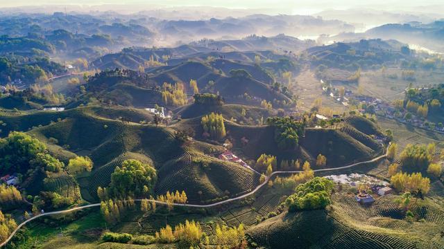 鸡公山|信阳鸡公山，中国四大避暑胜地之一，知道的人不太多，值得去吗？