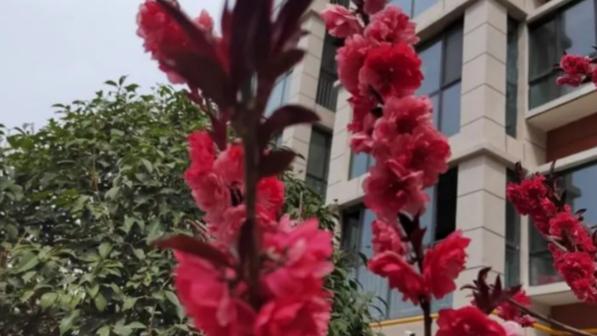 食神|子少或无子的命格