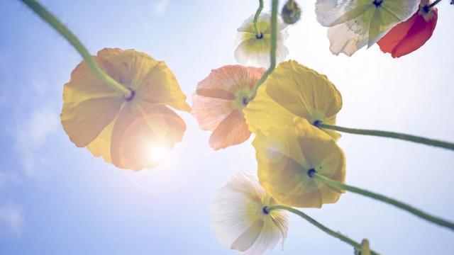 手机拍照问题集锦，用“知识点”避免摄影忌讳，快速提高照片质量