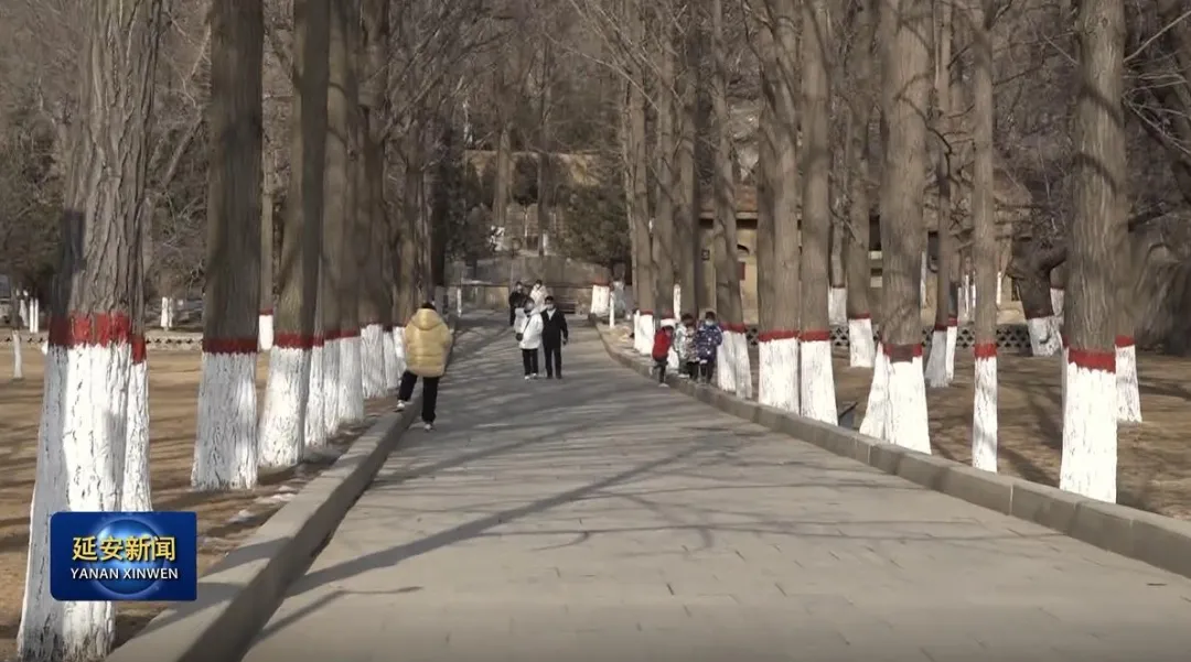 红色旅游|延安城区红色旅游景区全部恢复开放