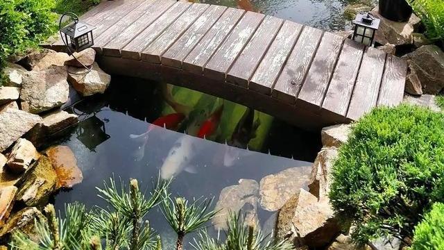 别羡慕别人家的花园了，其实你家的花园，也可以这么美