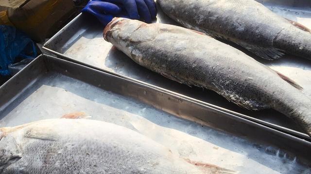 蛋白尿|糖尿病人出现蛋白尿怎么办？不能盲目低蛋白饮食，三多三少是关键