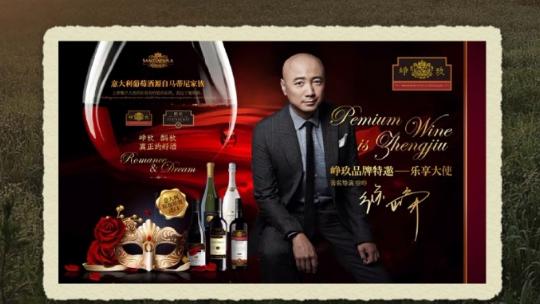 张庭|徐峥也栽了？被曝是张庭传销公司幕后老板，网友：一个都别想跑