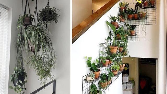 懂生活的人，楼梯通道也放上绿植盆栽，在家像进后花园，赏心悦目