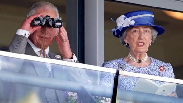 哈里王子|英国女王的长期助手称，哈里王子和梅根的婚姻，“将以眼泪告终”