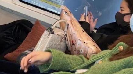 刘亦菲|刘亦菲在高铁被网友偶遇，手上钻戒引人注意，鼻子山根超高