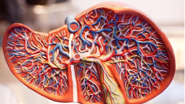 便秘|养肝秘诀有四字：坚持做到的人，肝脏一天比一天好