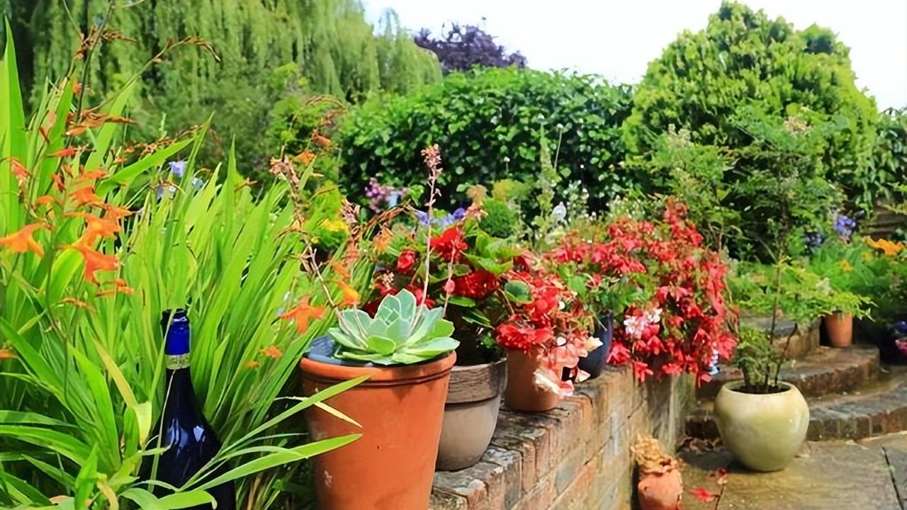 撂荒的1000㎡院子重建，一半养花，一半种菜，享受宁静的田园生活