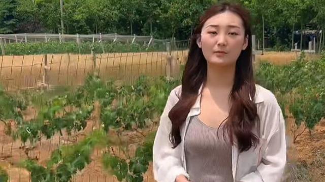 陈亚男|陈亚男开启“助农直播”，网友集体举报尴尬下线