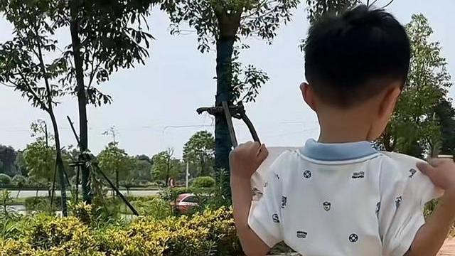 杨采钰|别忘了许妈！田静晒小奇总近照，乖巧可爱，再遭网友喊话