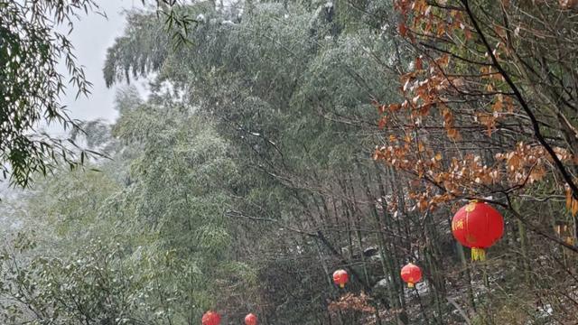 旅行|江苏常州，南山竹海漫天大雪，美哭了，江南第一雪，不为过吧！