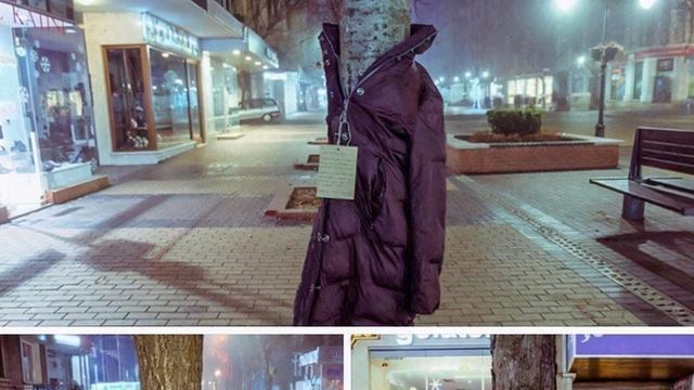 30张活久未见的照片，大象“便便”要人帮忙，过程相当酸爽