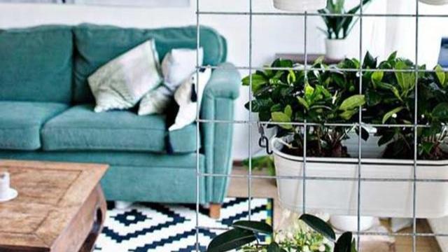 本着1㎡不浪费原则，一张金属网挂阳台天花板上面，想种啥不行！