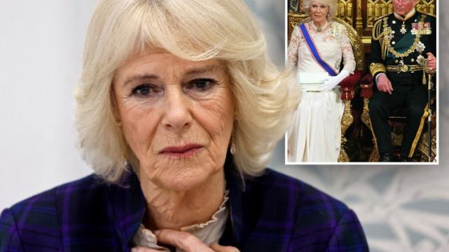 杨童舒|悲伤！95岁英国女王2月20日被曝突发新冠，身体状况惹人担忧！