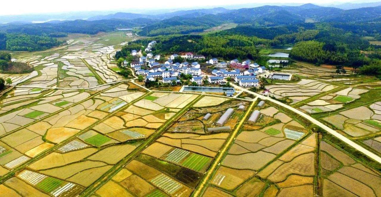 短视频|“互联网+农业”发展中存在的问题及措施