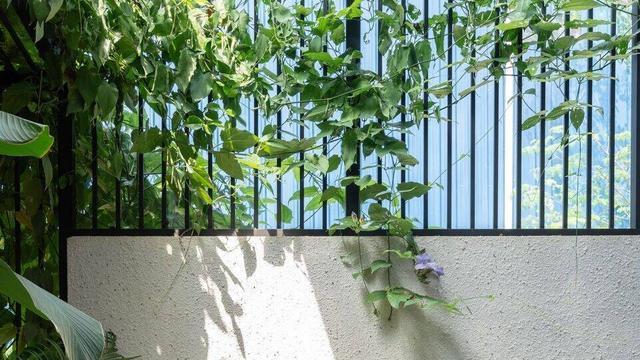 坐拥一套私宅别墅，庭院大到媲美足球场，平时却不显山露水，低调