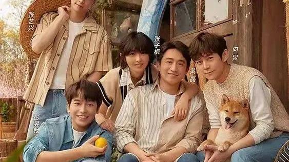 张子枫|张子枫将继续录制《向往的生活》，人气事业能否重回巅峰？