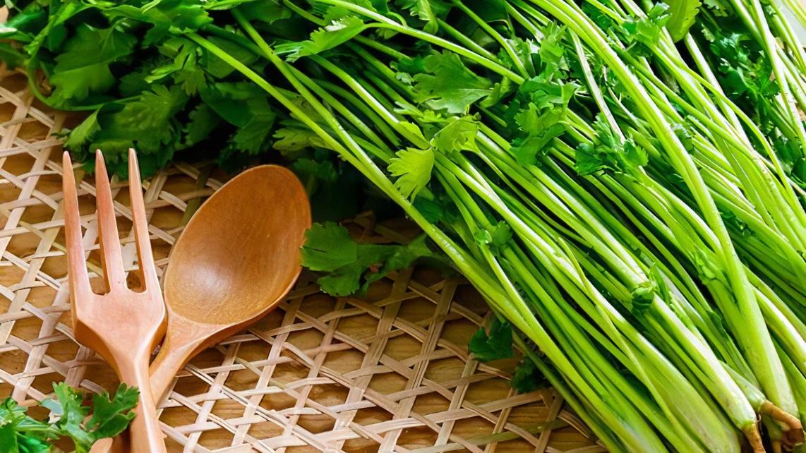 香菜|为什么有人喜欢吃臭味的食物？