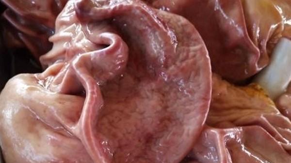 牛肉|煮猪下货的顺序