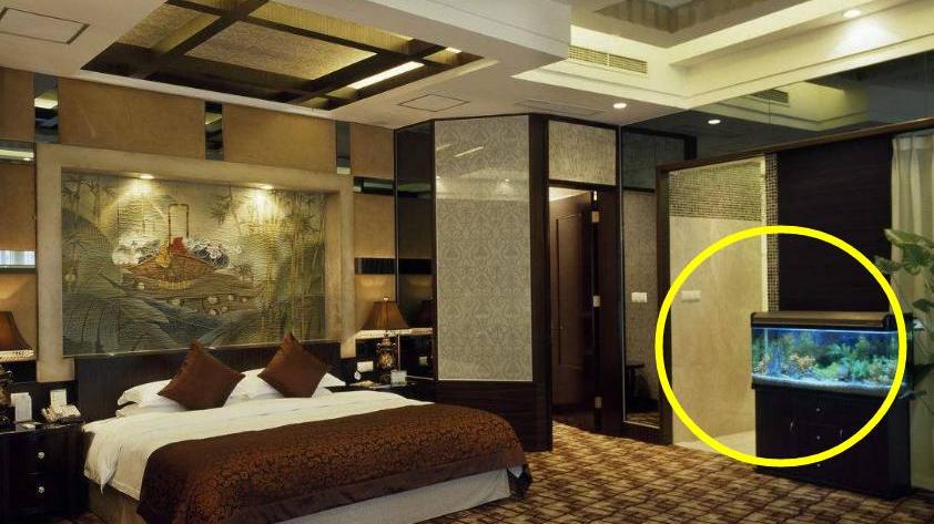 卧室万万不能放的三种东西，很多人都犯了第二点，赶紧改正过来吧