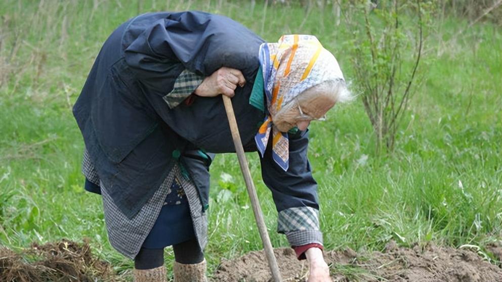 肠胃|人变老了，身高都会“缩水”？如果你坚持做到3点，不用担心变矮