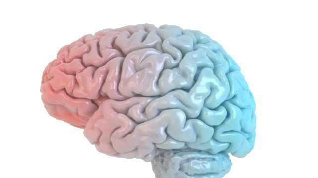 运动|即使少量运动，变化也太大了！