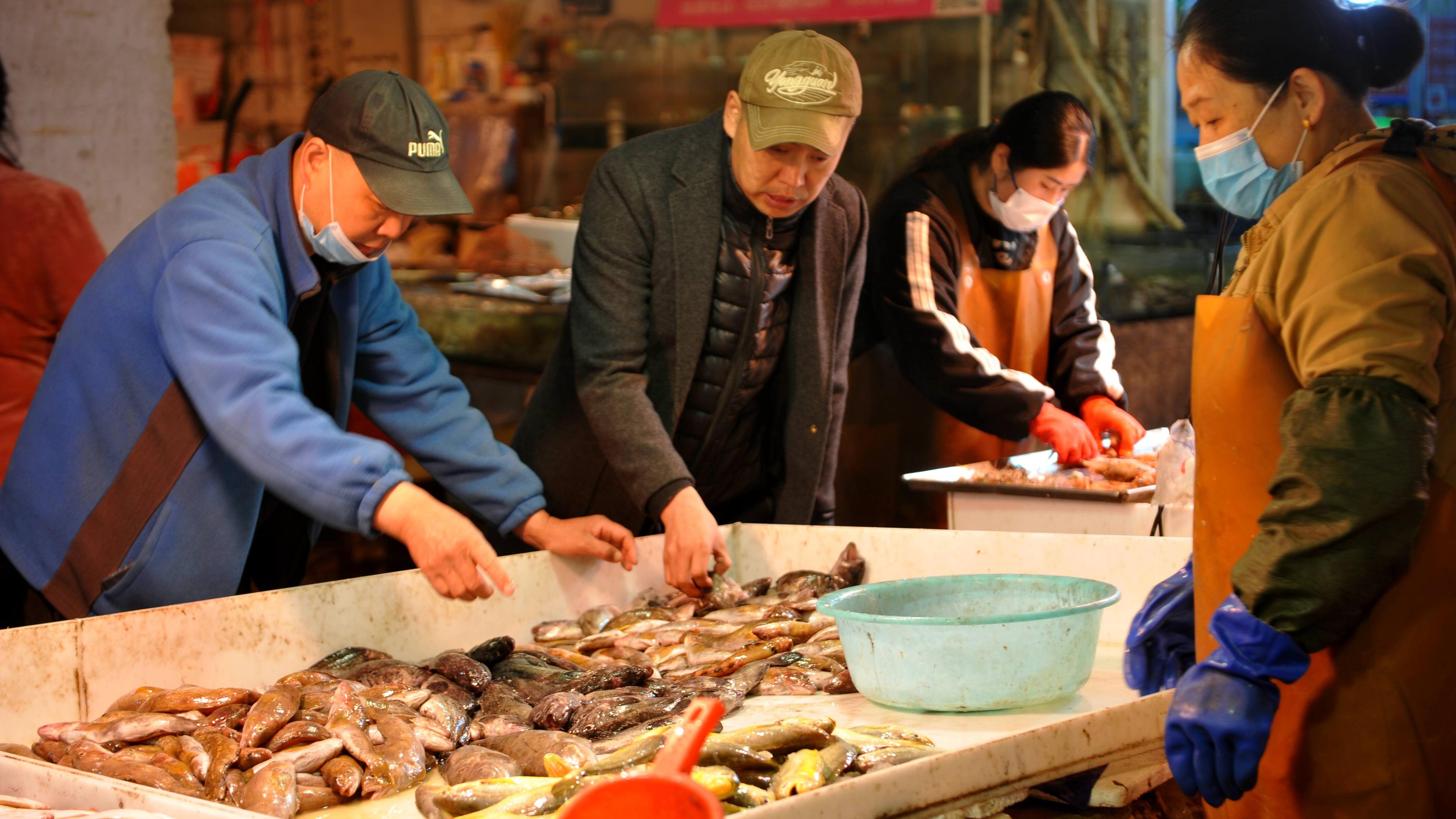 饺子|休渔期来青岛，别光惦记吃大虾，这6种海货“哈”啤酒绝配