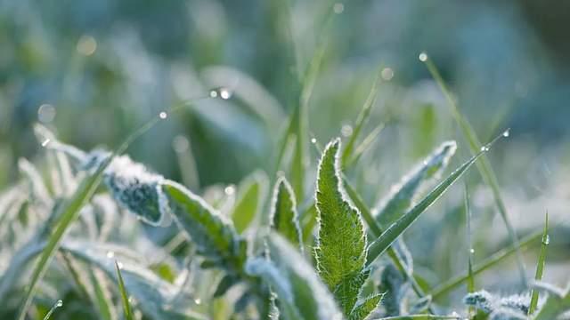 养生|寒露后养生：“3秋2鱼”不错过，“4不5要”保平安