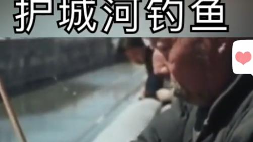 大爷|北京大爷就是北京大爷, 故宫护城河钓到一米草鱼, 被人看到赶忙放生