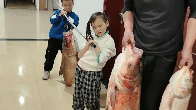 离婚|河南男子带娃钓鱼一整天，老婆看到3条大鱼后怒怼：不想过就离婚