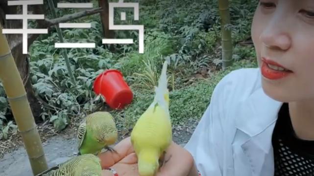 孙莉|孙莉带子女游动物园，被俩娃依偎直呼幸福，弟弟给动物喂食比多妹勇敢