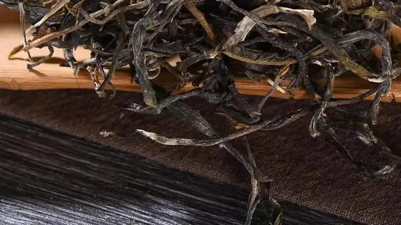 |压饼生普的四个品饮期