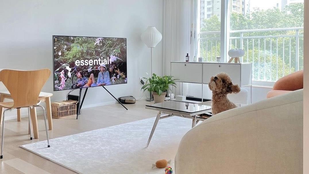 看完她家后，我家瞬间不香了！全屋井井有条，活出让人羡慕的样子