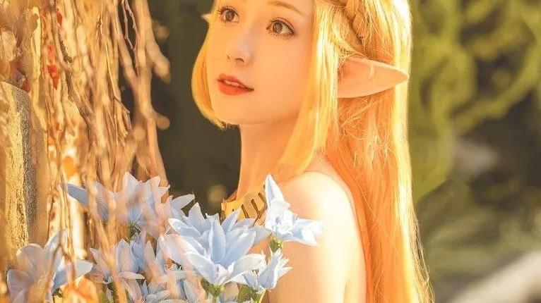 |cos：塞尔达传说公主cos正片@花一