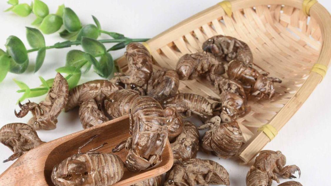 胆固醇|敲黑板！治湿热困脾的方子，我说给你，除湿、清热、健脾，都管了