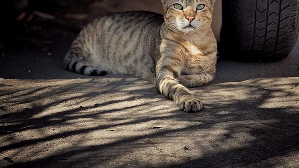 |这班我是一天也不想上了