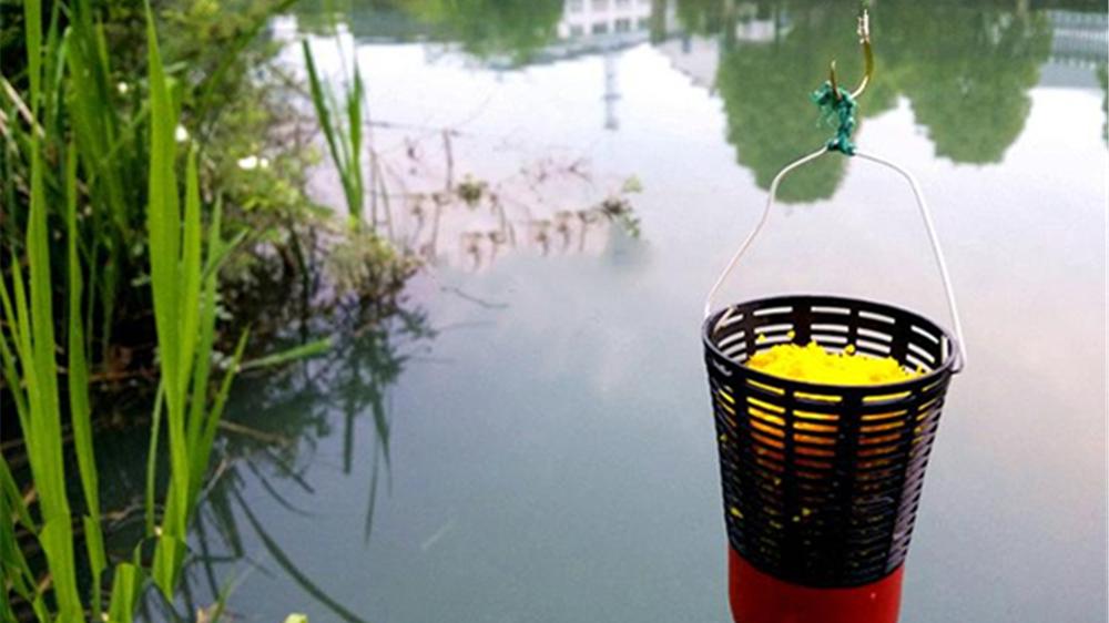 春分|春季钓鱼，跟着谚语玩春钓，浅滩也能钓大鲫，渔获轻松翻几倍！