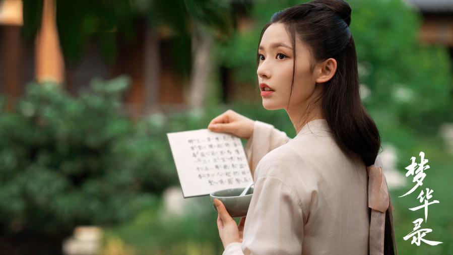 宋引章|看到梦华录的宋引章，明白了所有的吸渣体制，都是有迹可循的