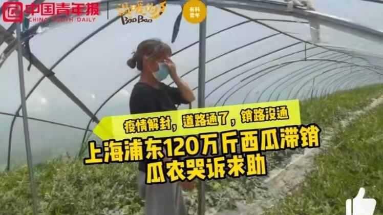 油桃一元难卖，黄桃产地卖1.4元，桃子市场咋了？网友：不熟咋吃