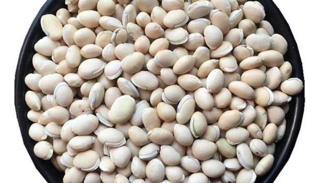 健脾祛湿|三伏天，冬病夏治的黄金季，少吃三黄，多吃三白，健脾祛湿更健康