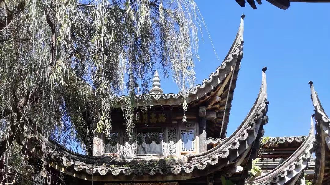 浙江大学|中药的五味，你知道多少？