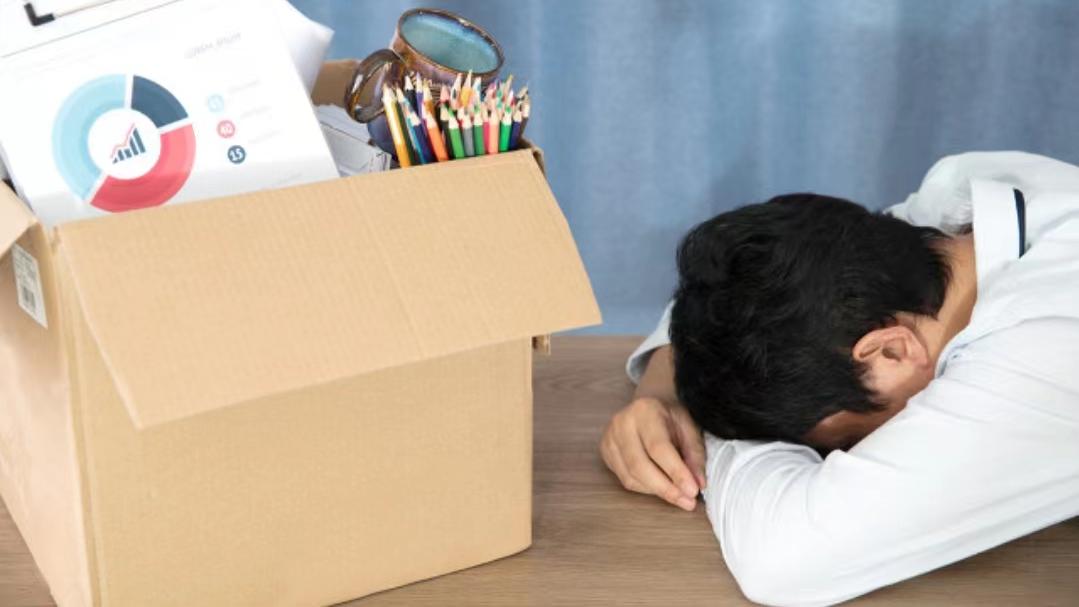 招聘|关于被辞退这件事