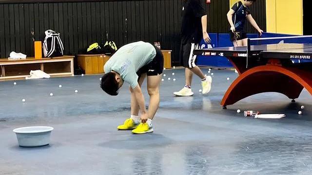 樊振东|五一假期，小胖樊振东的二三事